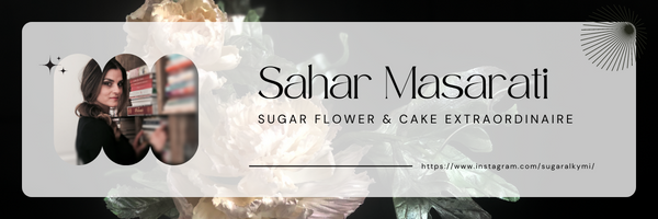 14 PC Sahar Masarati Signature Series Edible Paint Kits